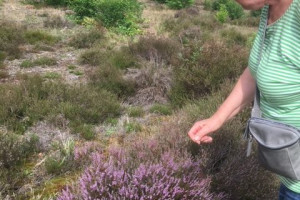 Op pad met Hans Tijmes: beleving van de natuur (9)