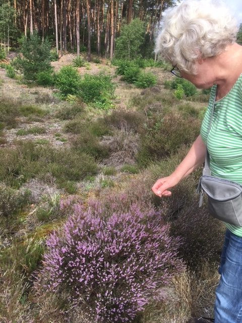 Op pad met Hans Tijmes: beleving van de natuur (9)