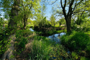 Op pad met Hans Tijmes: beleving van de natuur (8)